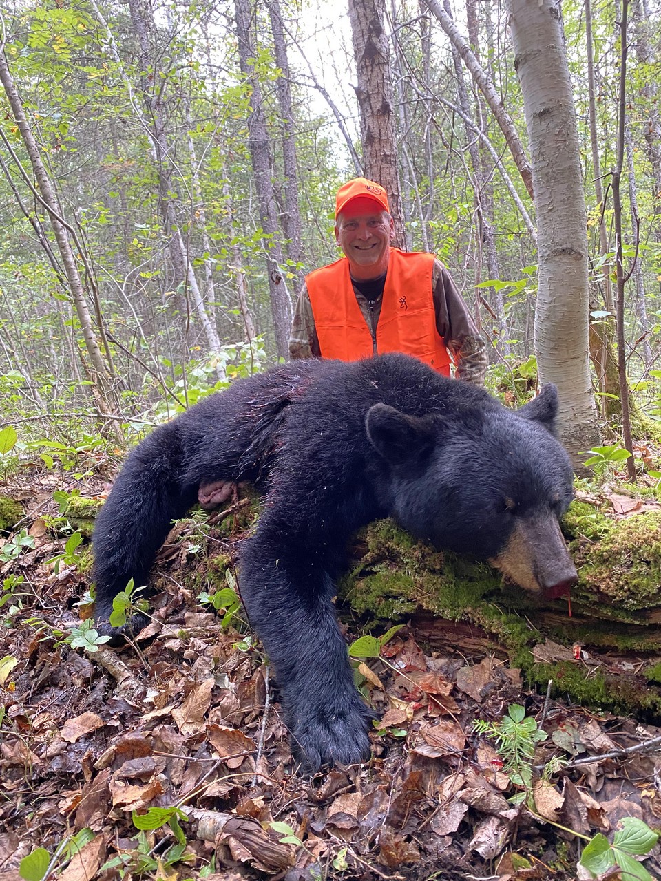 Hunt Black Bear at Whitefish Lodge and Outpost Camps