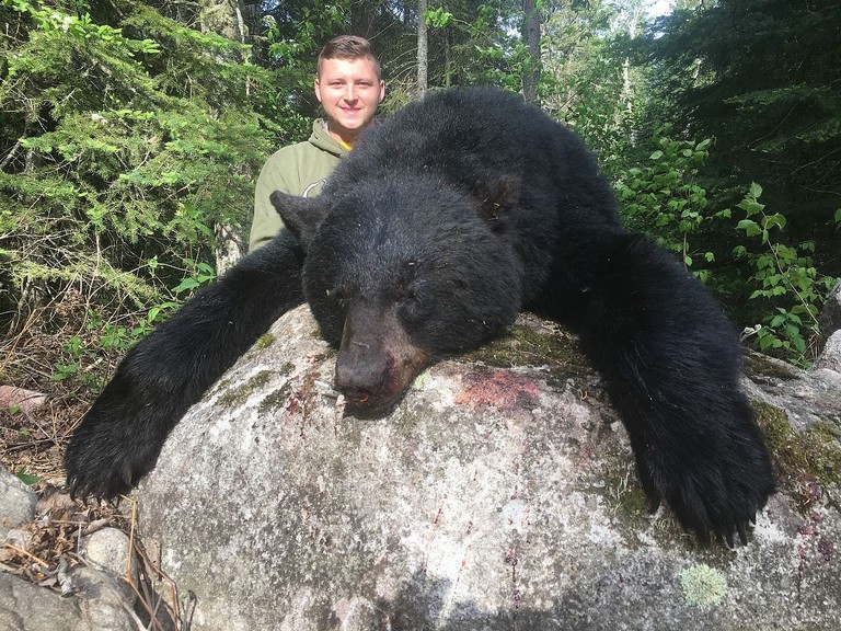 Hunt Black Bear at Whitefish Lodge and Outpost Camps
