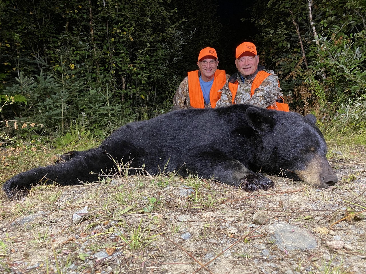 Hunt Black Bear at Whitefish Lodge and Outpost Camps