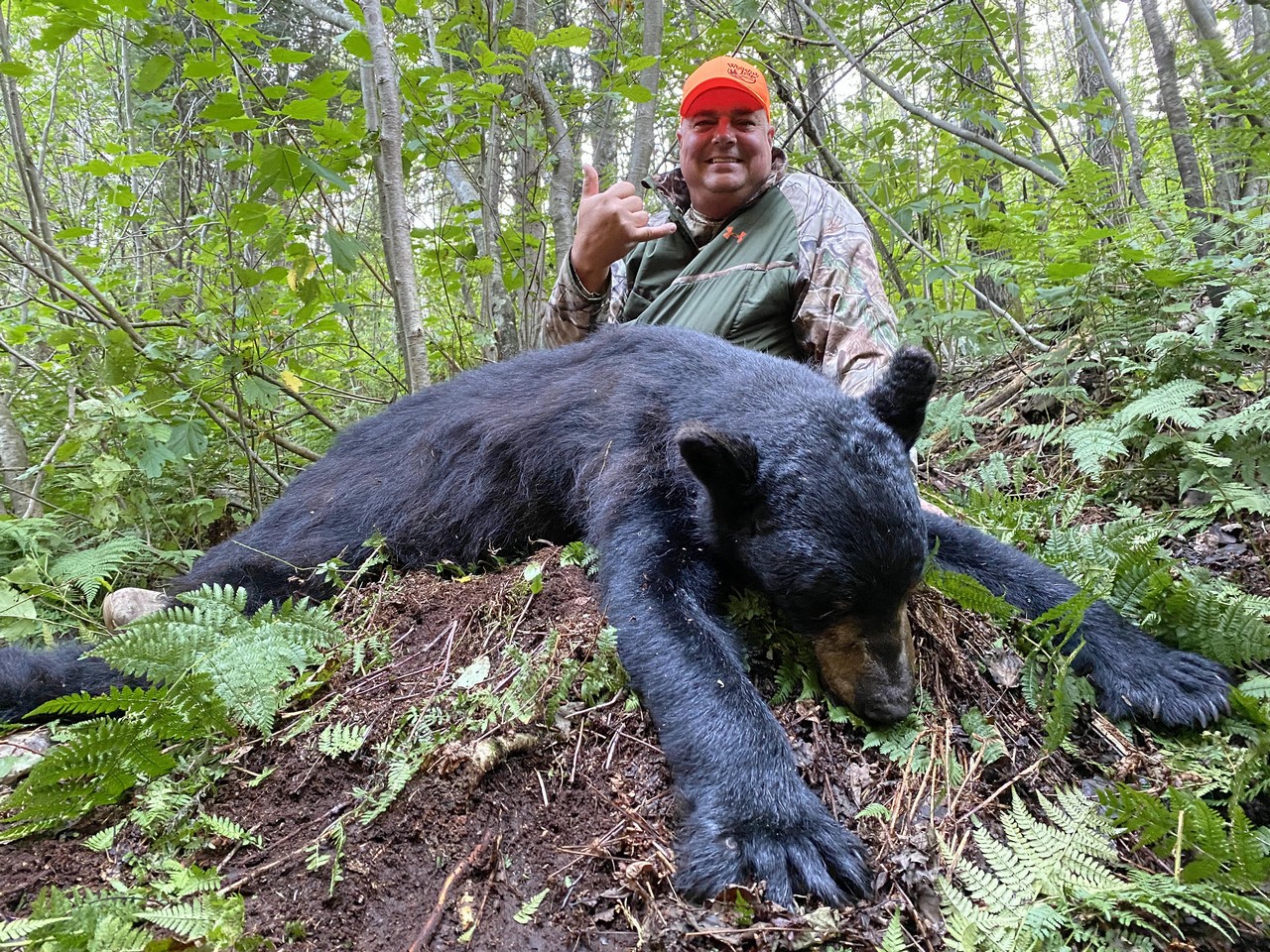 Hunt Black Bear at Whitefish Lodge and Outpost Camps